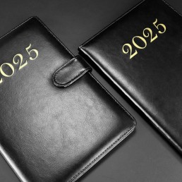 Agenda Diária 2025 Personalizada